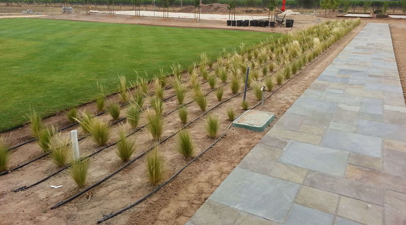 image of irrigation and sprinklers JA Landscaping napa california